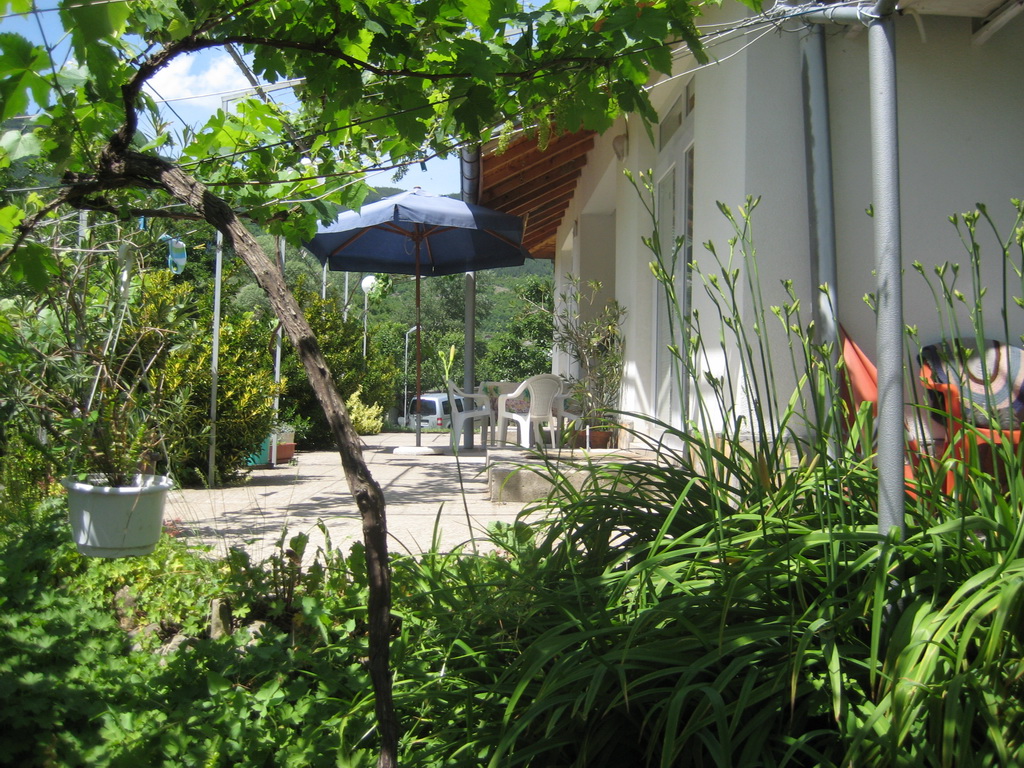 pastuh - 04.06_24.2011